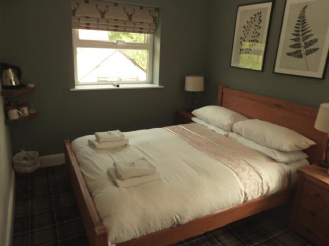Twin Oaks Guest House Cadnam Exteriér fotografie
